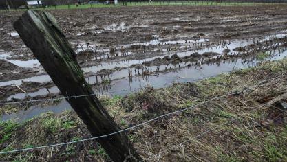 Investeren in natuurvriendelijke oplossingen is nodig, vindt het WWF.