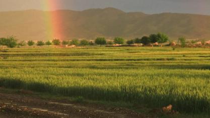De rurale gemeenschappen in Afghanistan worden momenteel zwaar getroffen, stelt de Voedsel- en Landbouworganisatie van de VN (FAO). Oorzaak is niet alleen de droogte.