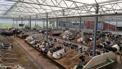 De nieuwe serrestal van landbouwer Bram Maes.