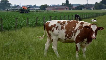 Het Vlaamse GLB steunt op 7 krachtlijnen, waarbij innovatie, samenwerking en focus op de echte (actieve) landbouwer cruciale rode draden in het geheel vormen.
