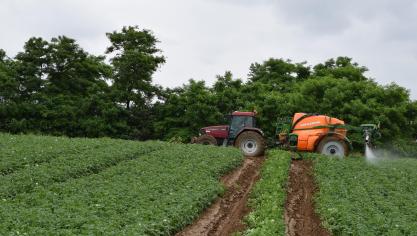 De kosten voor de gewasbescherming in aardappelen liggen dit seizoen op een historisch hoog niveau.