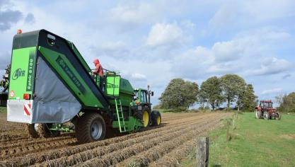 Op 10 september bedraagt de Belgapomprijs voor vroege aardappelen 110 euro/ton (zonder btw).a