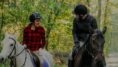 Horsify is een nieuw platform dat ruiters en paardeneigenaars samenbrengt