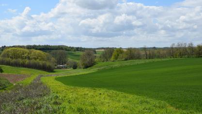 Natuurvereniging Natuurpunt ambieert een belangrijke rol in het creëren van Nationale Parken in Vlaanderen.