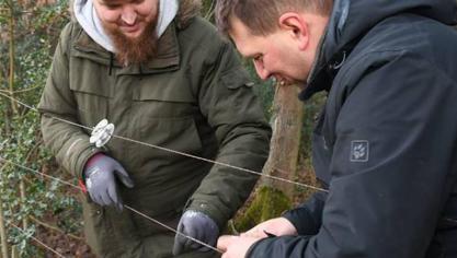 Weiden wolfproof afrasteren helpt wel degelijk.