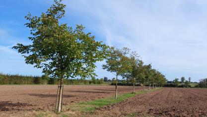 Tot en met uiterlijk dinsdag 30 november 2021 kunnen landbouwers de verlenging van aflopende verbintenissen en de uitbreiding van lopende verbintenissen indienen via de tegel ‘Agromilieumaatregelen en boslandbouwsystemen’ op het e-loket.
