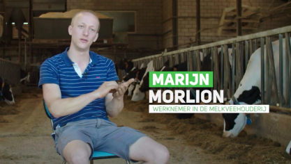 Marijn is één van de werknemers op een melkveebedrijf die wat toelichting geeft over zijn job.