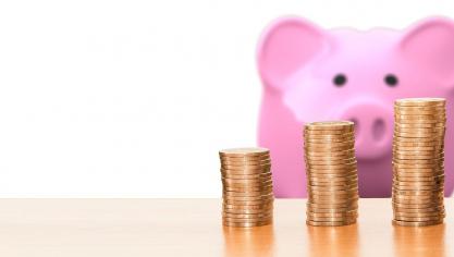In Vlaanderen wordt een bedrag van 2,5 miljoen euro over 16.877 landbouwers verdeeld.