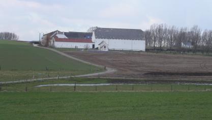 De Farm to Fork-strategie vormt de basis van de groene transitie binnen de landbouw- en voedselproducerende sector.