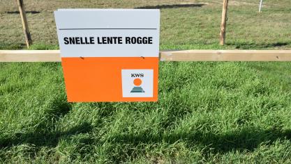 Snelle lente rogge – hier speciaal ingezaaid voor de Werktuigendagen – biedt nog tot eind oktober mogelijkheden als vanggewas.