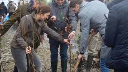 Vlaams minister Demir is ambitieus in het aanplanten van extra bomen en bos.