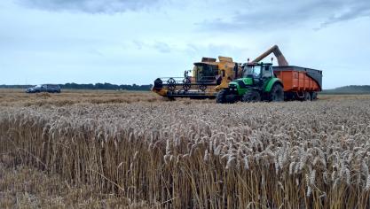 Granen zijn en blijven de hoeksteen van de Belgische landbouw. De rendabiliteit van granen is sterk bepalend voor de rendabiliteit van akkerbouw, omdat ze tevens een grote invloed heeft op diverse contractteelten.