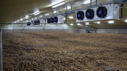 aardappelloods binnen 2_JeroenMorel