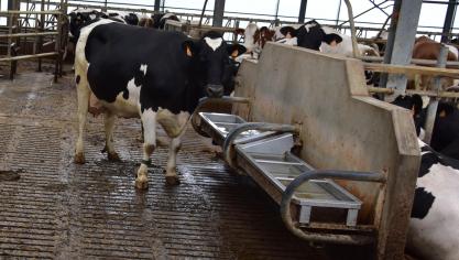 Vooral veehouders laten op hun bedrijf een wateraudit via Kratos uitvoeren.