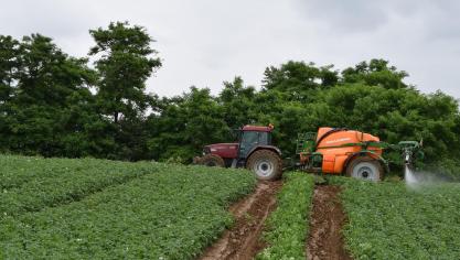 2021 werd gekenmerkt door een ongekend hoge druk voor de aardappelziekte.