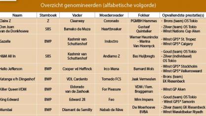 46-3322-PAARDVANHETJAAR