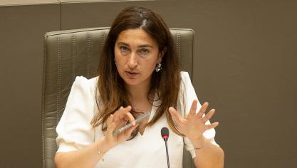 Vlaams minister Zuhal Demir.