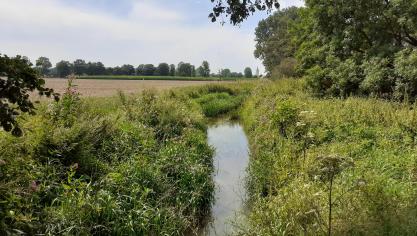 Natuurpunt vestigt in nieuwe campagne aandacht op impact van stikstof op natuur