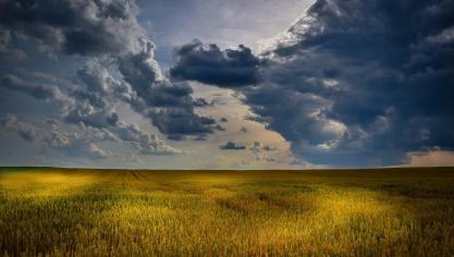Donkere wolken boven de sector deden een niet-landbouwer in de pen kruipen.