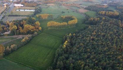 De bestemmingskaart in Vlaanderen is een zootje. 40.300 ha zijn binnen de landbouw nu natuur of bos is en 35.250 ha van groene bestemmingen zijn nu in landbouwgebruik.