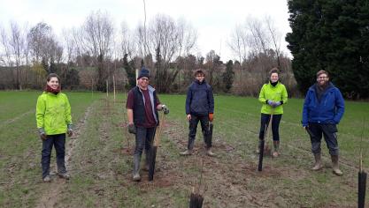 Het Consortium Agroforestry Vlaanderen stak woensdag 1 december de handen uit de mouwen om de bomen de grond in te krijgen.