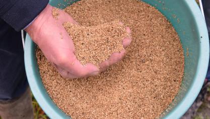 Kies je voor quinoa, dan kunnen de pre-ecomaatregelen je zelfs een duwtje in de rug geven.