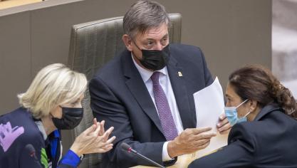 De Vlaamse regering heeft nog geen akkoord over het stikstofdossier. Voor kerstdag wordt geen beslissing verwacht.