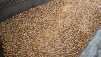 De fipronil-zaak wordt op 14 september 2022 behandeld