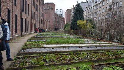 Er zijn nog heel wat uitdagingen als vooral stadslandbouw tegen 2050 de steden moet voeden.