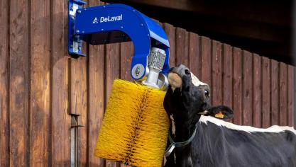 DeLaval komt met een vernieuwde versie van zijn flexibele koeborstel.