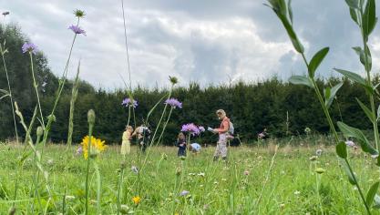 HoGent zoekt 500 burgerwetenschappers die in eigen tuin een stukje gazon willen omvormen tot een levend laboratorium.