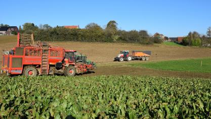 Iscal vraagt de planters vertrouwen te hebben in de (volatiele) suikermarkt. CoCo Vlaanderen vraagt Iscal vertrouwen te hebben in het  (volatiele) rendement van de teelt.