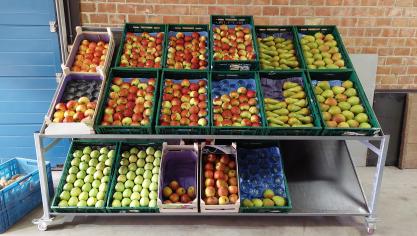 Bijna 1 op de 4 consumenten eet meer lokale producten sinds de coronapandemie.