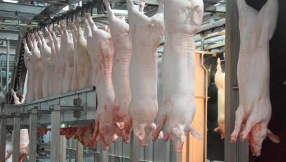 Slachthuis Debra-Meat in Tielt is erg geschrokken van de beslissing van Vlaams minister van Omgeving Zuhal Demir om in beroep de omgevingsvergunning voor de uitbreiding van het slachthuis te weigeren.