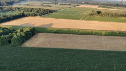 Uit de cijfers van FedNot blijkt dat de grondprijs op 5 jaar tijd (periode 2014-2018) gestegen is met meer dan 35%.