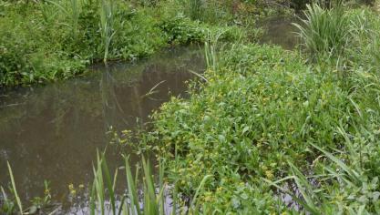 Grote verschillen in het beheer van oppervlaktewaterbeheer zorgt voor een gebrek aan efficiëntie en daadkracht.