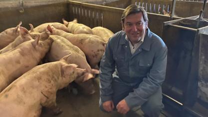 Vlaams parlementslid Bart Dochy, tussen de varkens:  Waarom krijgen onze Vlaamse varkenshouders zo weinig voor hun topproducten?