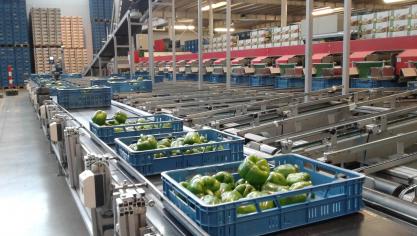 Coöperatie Hoogstraten en de REO Veiling gaan dit traject in als gelijke partners gebaseerd op wederzijds respect en het geloof in elkaars goede intenties.