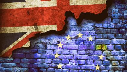 Van bij de aankondiging van de uittrede van het VK, is het FAVV gestart met een intensieve voorbereiding op Brexit.