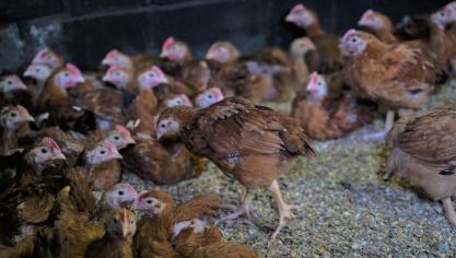 Blijf ondanks het gunstige resultaat zeker nog even alert voor mogelijke besmettingen.