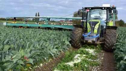 Groentetelers die onder meer voor de diepvriesindustrie werken willen contractprijzen die meer zijn dan louter kostendekkend.