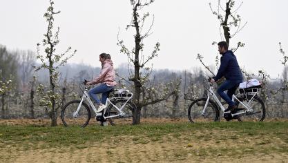 Onderweg zal je tussen de talloze boomgaarden niet alleen betoverd worden door de mooie bloesems die deze streek typeren, je zal ook van dichtbij kennismaken met verschillende landbouwbedrijven uit de regio.