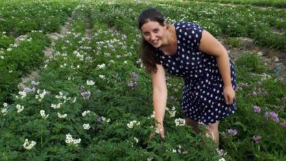 In de zomer van 2021 had Aardevo al de eerste diploïde hybrides op het veld.