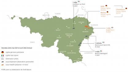 zoneloupwallonie