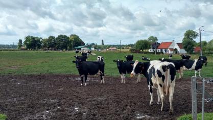 Noch de oorlog, nog de omgang met het stikstofprobleem lijkt ons anno 2022 gepast.