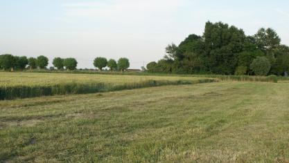 Om het bewijs te leveren van het bestaan van een pachtovereenkomst moet minstens  worden aangetoond dat er sprake is van een verhuring van een onroerend goed dat wordt gebruikt in een landbouwbedrijf. Foto: LBL