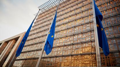 Zo vraag het Europees Parlement om tijdelijke het gebruik van gewasbeschermingsmiddelen toe te staan op ecologische aandachtsgebieden die geschikt zijn voor de teelt van eiwithoudende gewassen.