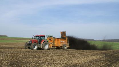 Om de 3 jaar 15 ton/ha compost op een perceel toedienen is een mooie dosis. Je vermijdt een te hoog zoutgehalte en komt niet in de problemen met de mestafzetruimte.