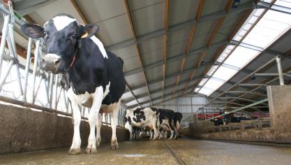 DGZ raadt bedrijven die nog geen bemonstering deden aan om dit zo snel mogelijk te doen. De uiterste datum waarop je je monsters kunt (laten) bezorgen is 30 april 2022.