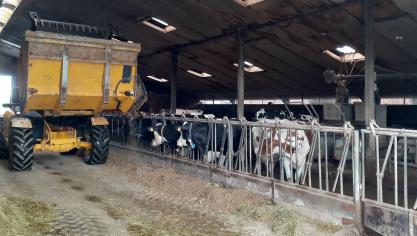 De subsidiemaatregel focust zich op aanpassingen in het voederrantsoen.